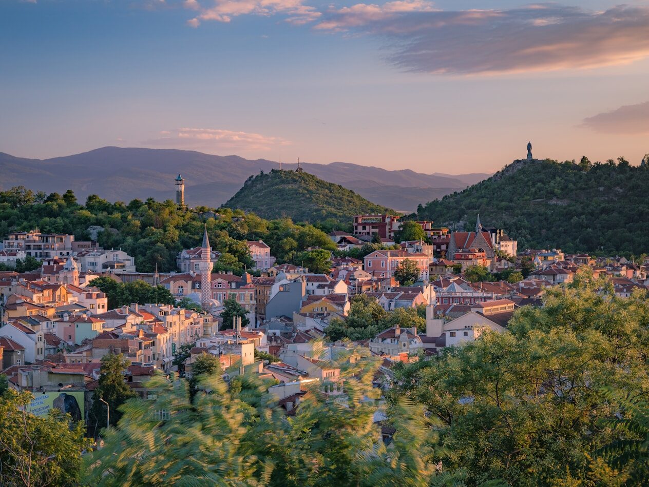 a small town surrounded by trees and mountains