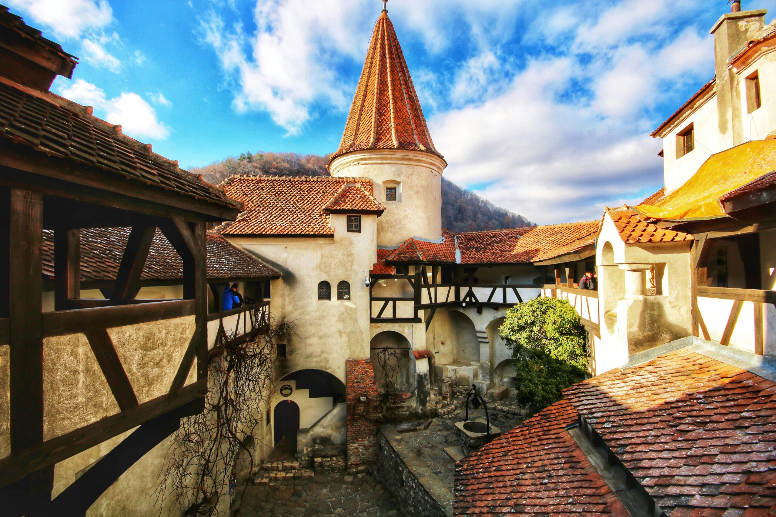 Bran Castle Image