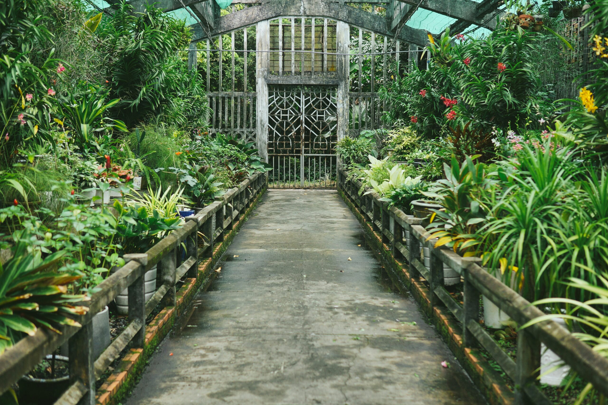 Cismigiu Gardens (2)