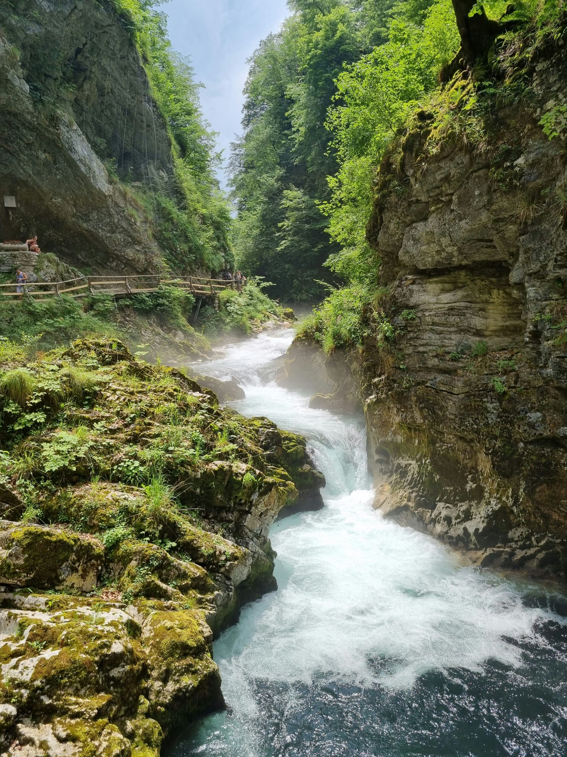 danielle-eibrink-jansen-CURxIG81YoA-unsplash