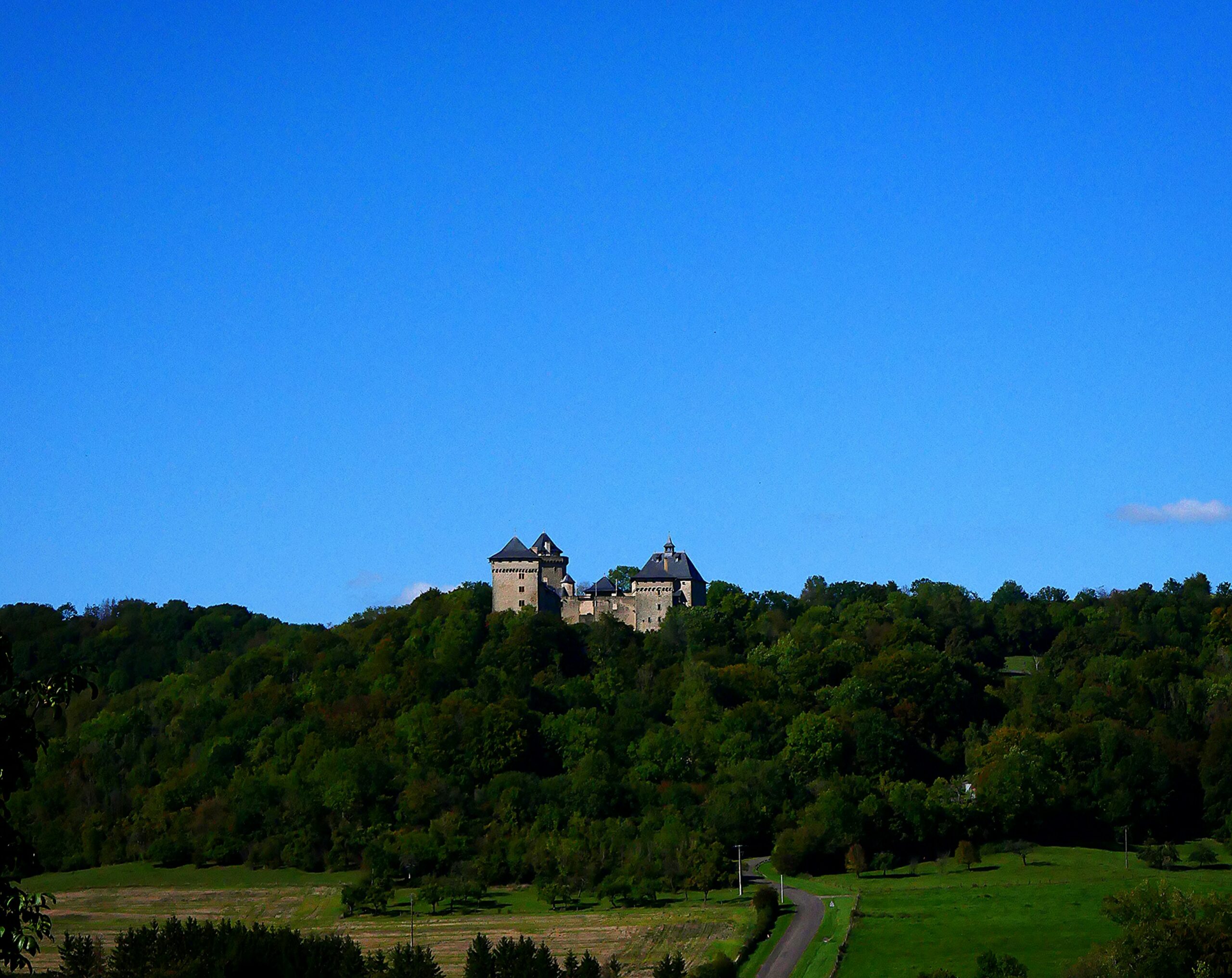julien-steffen-dyPwLAlU_uQ-unsplash