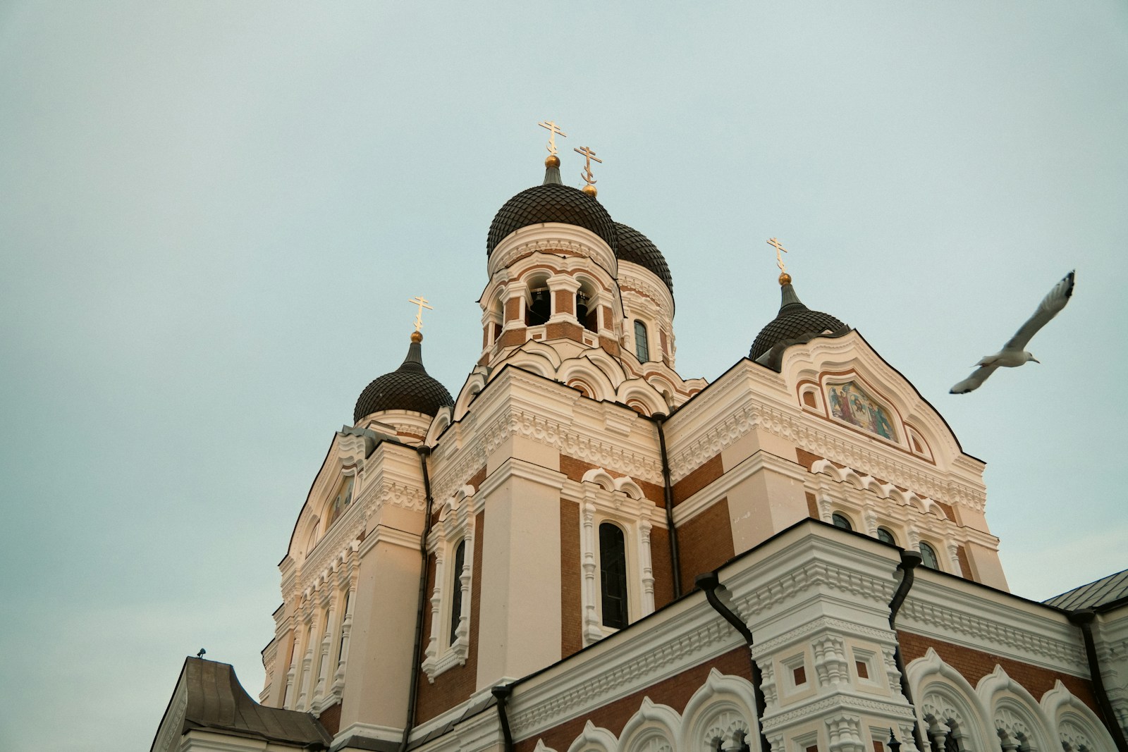A church with a bird flying in front of it