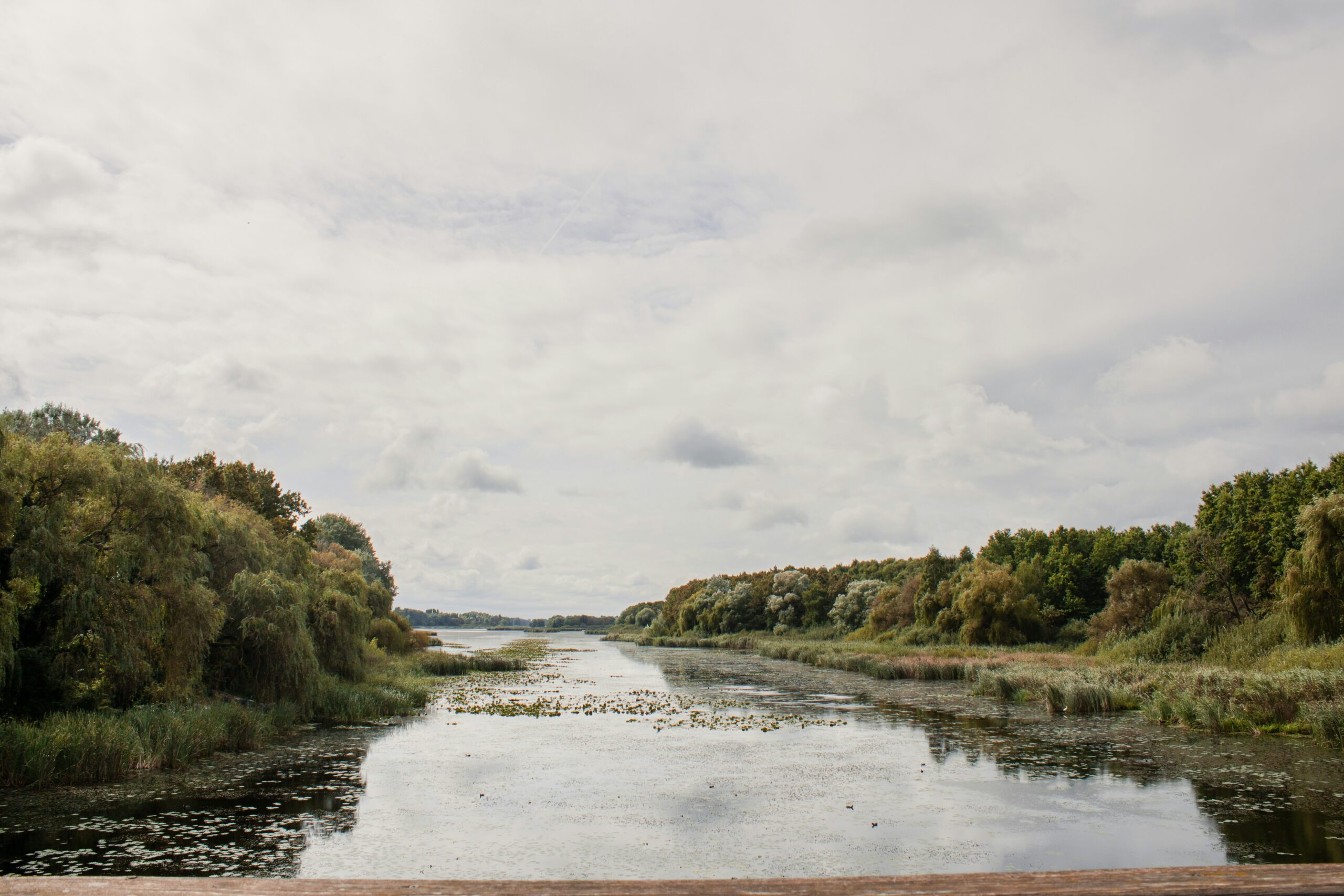 marlene-haiberger-x1DnYsm7c7Y-unsplash