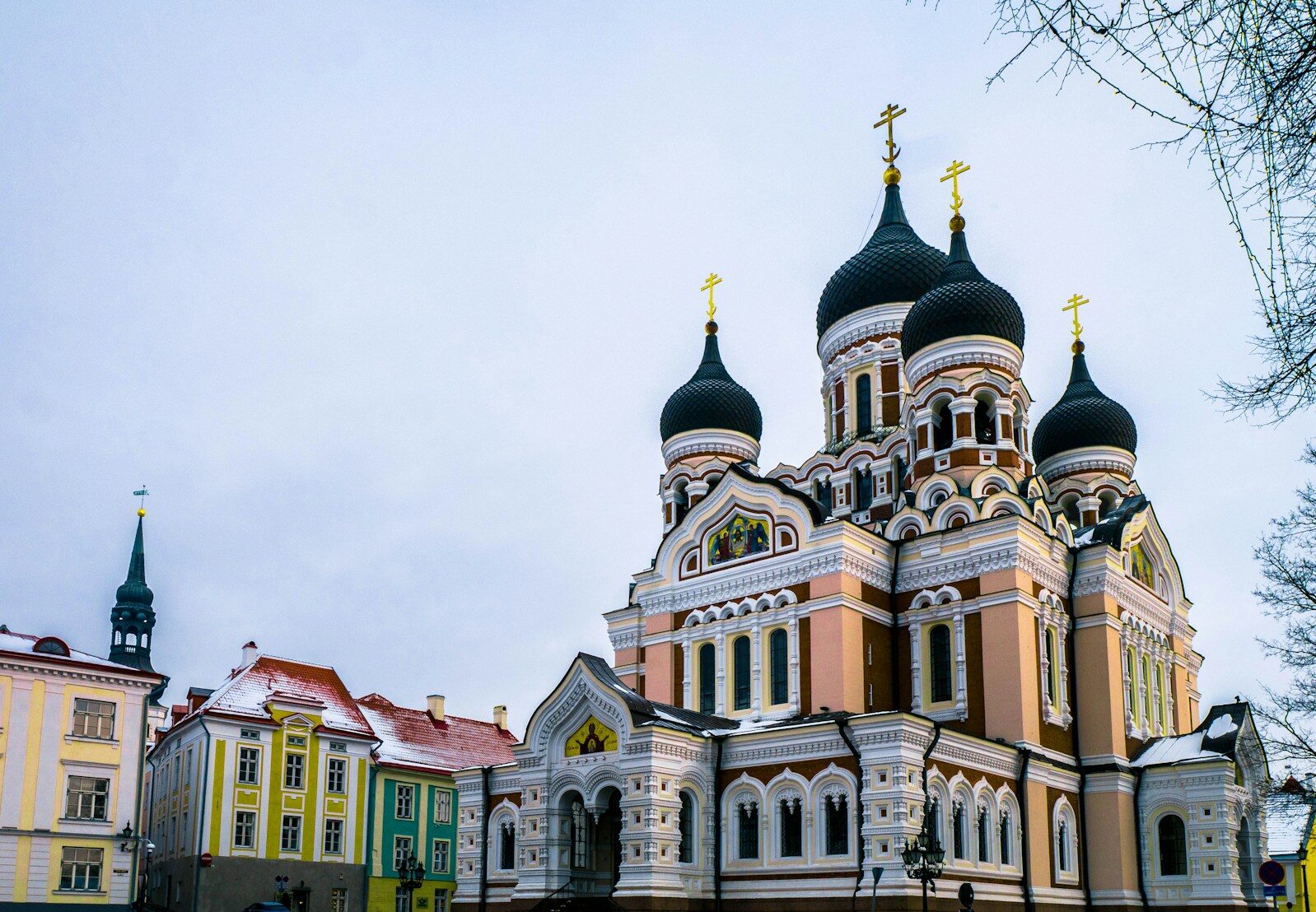 cathedral near houses during daytime