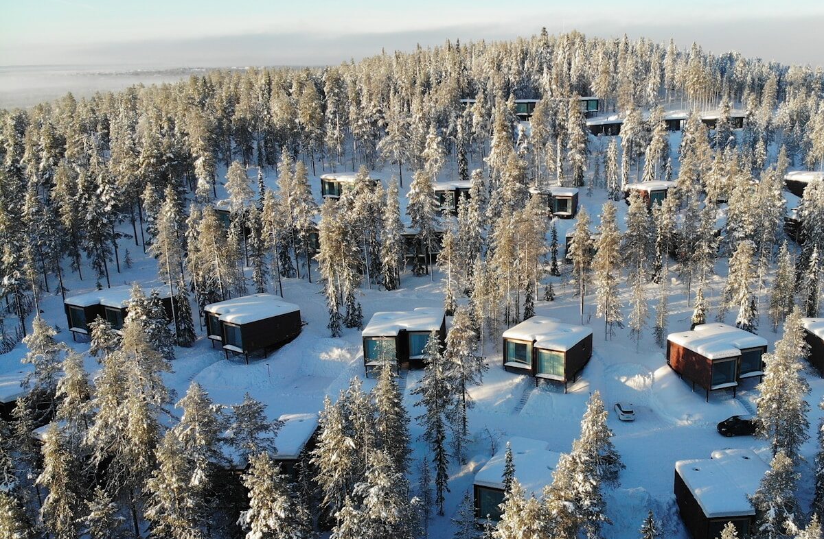 snow covered trees and houses during daytime