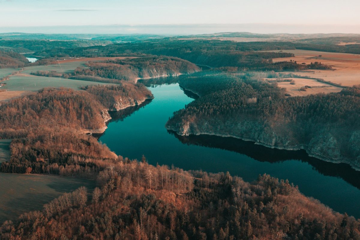 aerial view of lake surrounded by trees during daytime