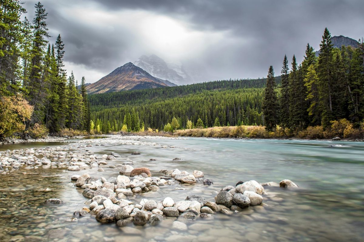 A tranquil river flows through a forest with a majestic mountain backdrop in Banff National Park.