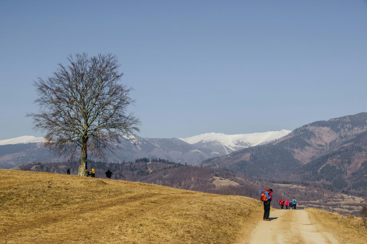 Slovakia Photo 14125120 (2)