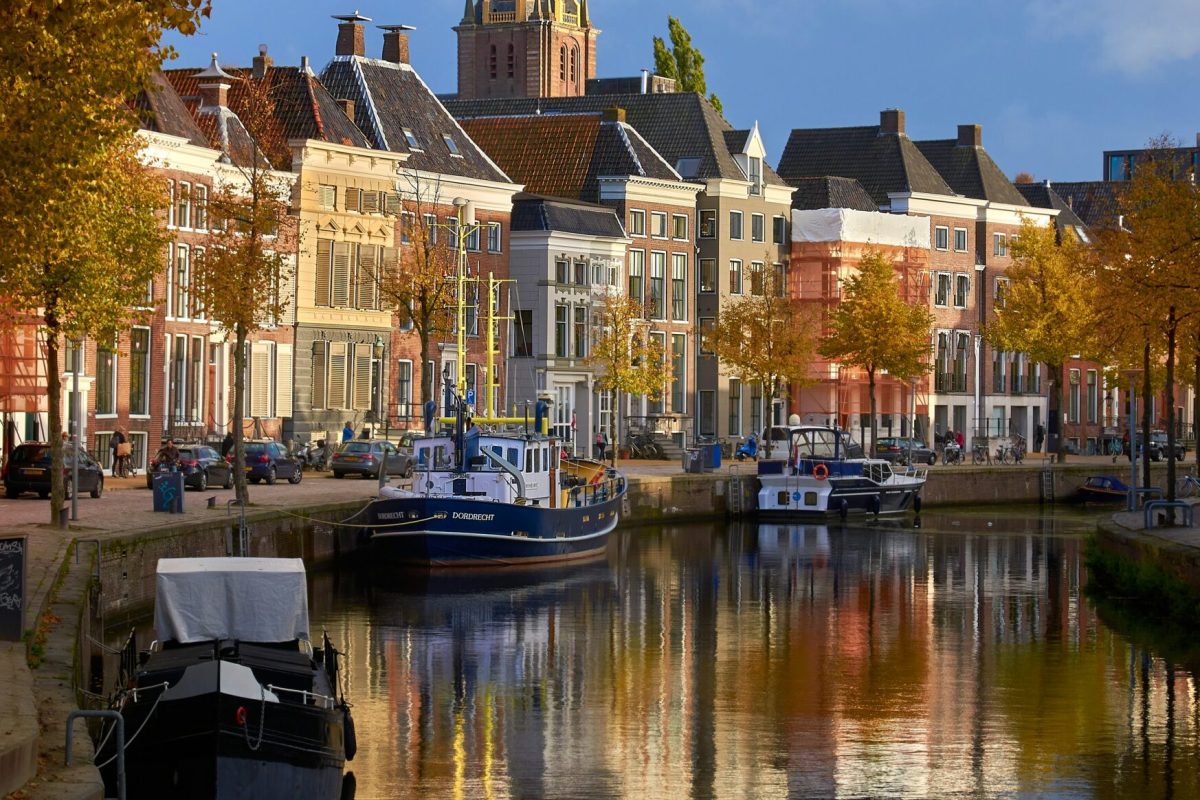 alexei-maridashvili-njeldz2KN84-unsplash