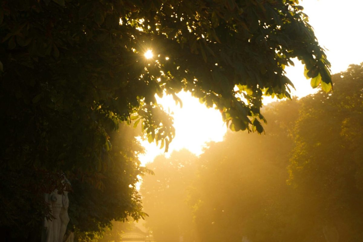 anja-lee-ming-becker-vSb1T4Hzz7E-unsplash