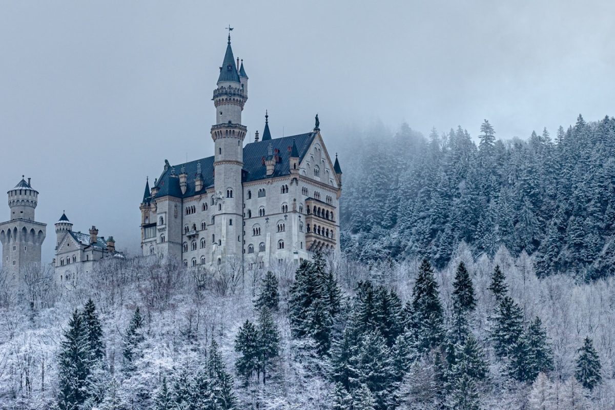 white and brown castle surrounded by trees covered with snow