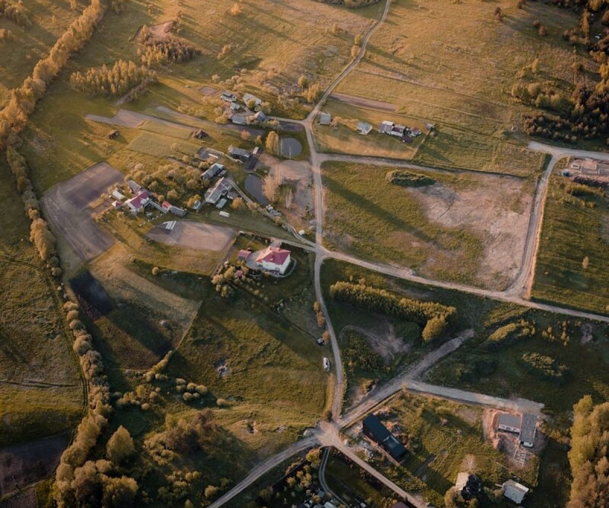 aerial view of green field and trees