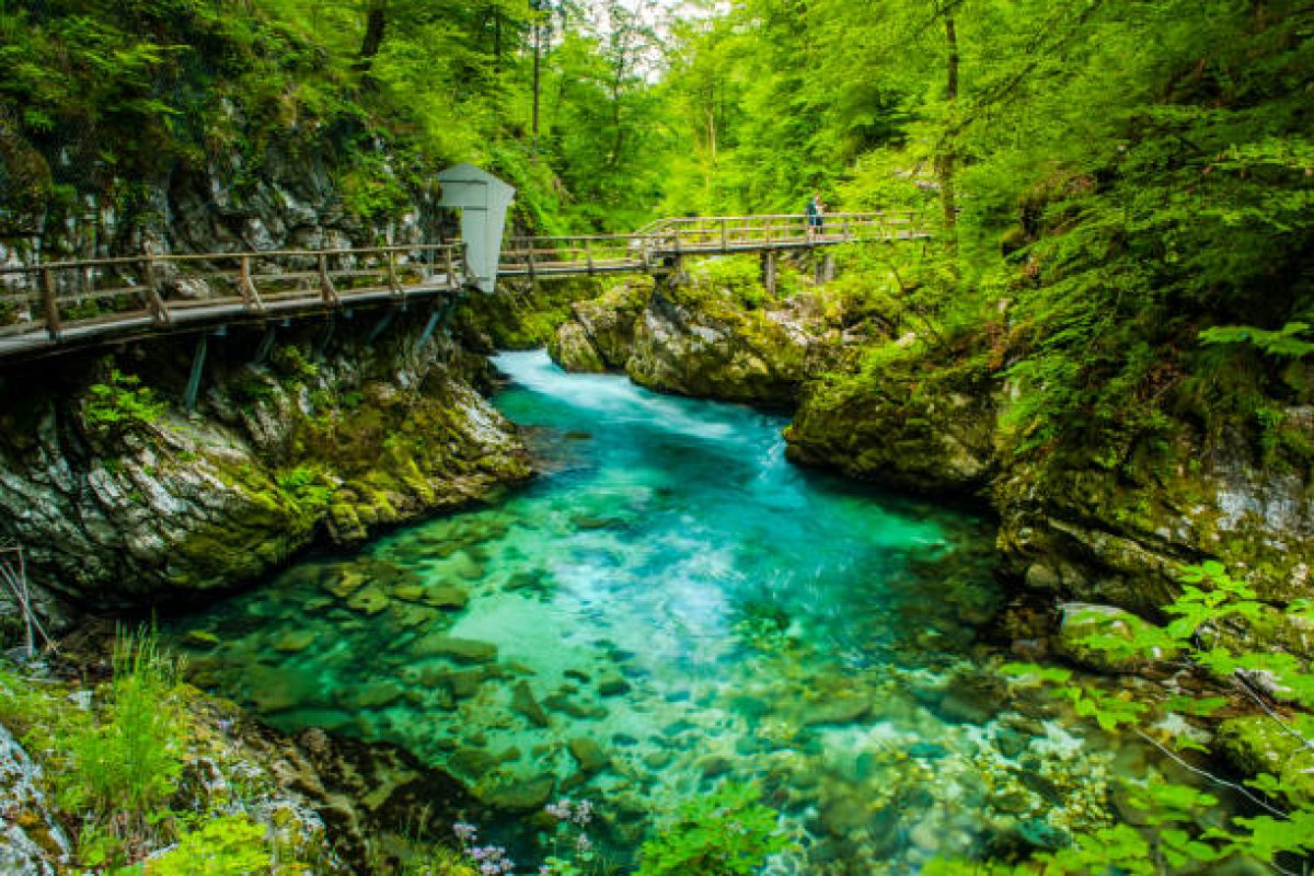 Vintgar Gorge in Slovenia. Europe Beautiful Wild Nature.