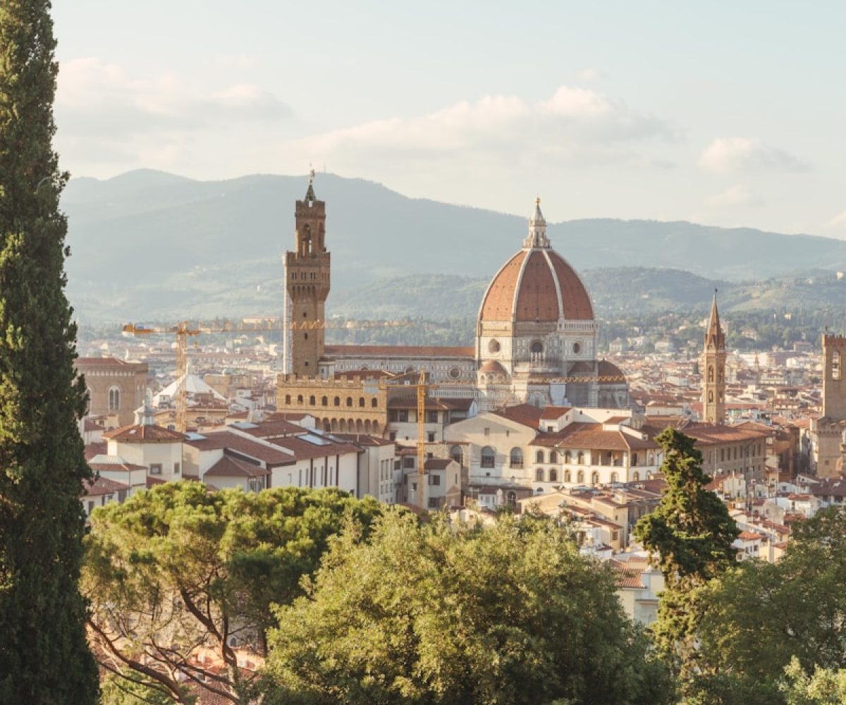 aerial photo of green leafed trees and white ruins