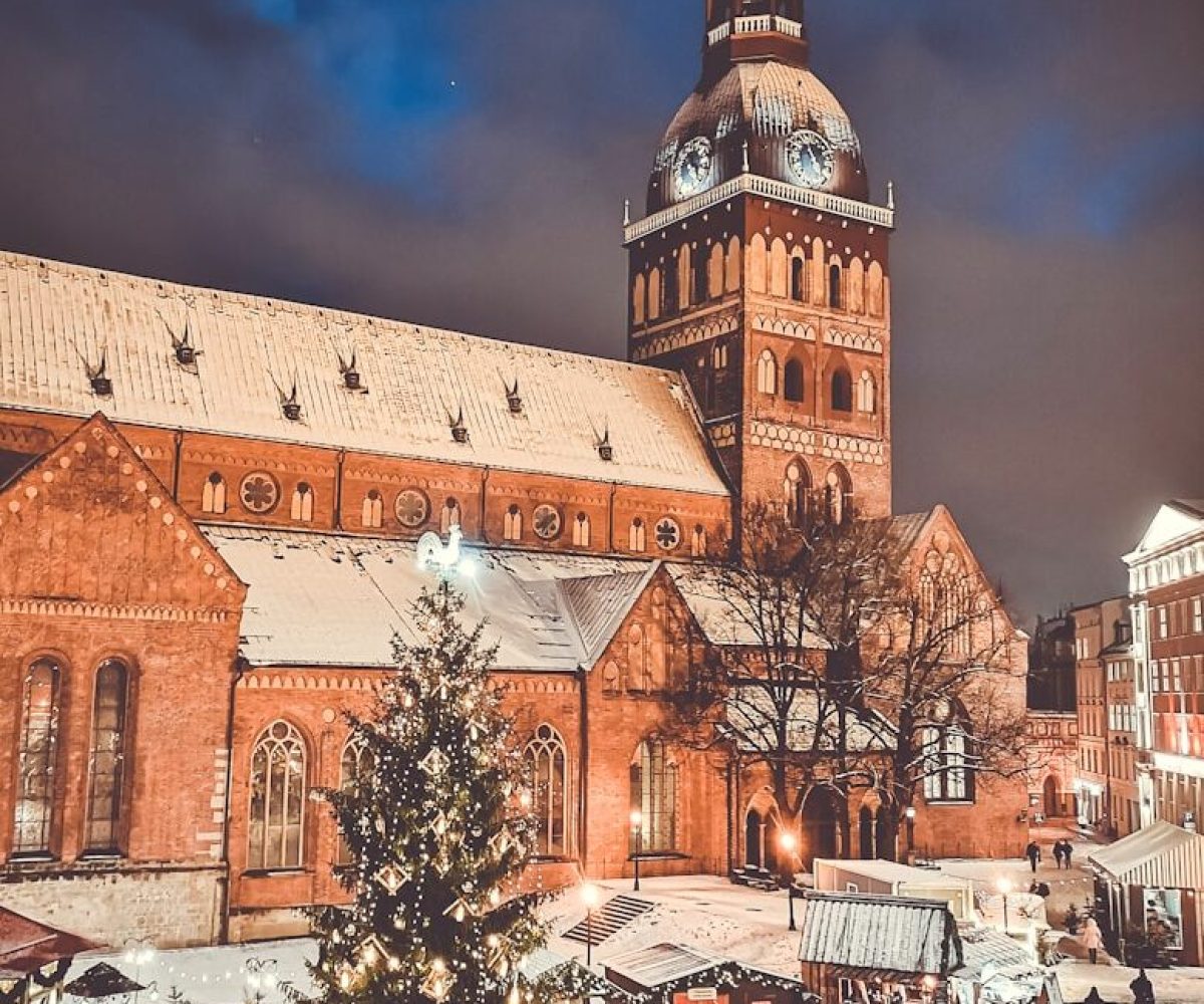 Christmas tree beside shed at night