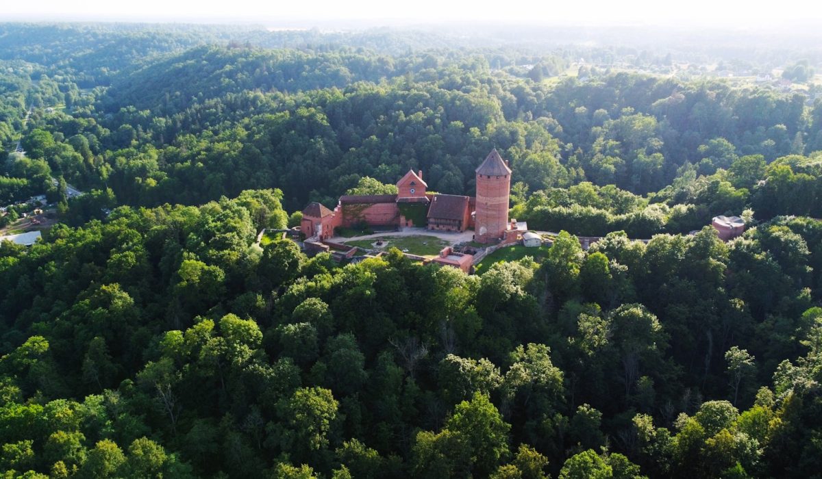 an aerial view of a castle surrounded by trees